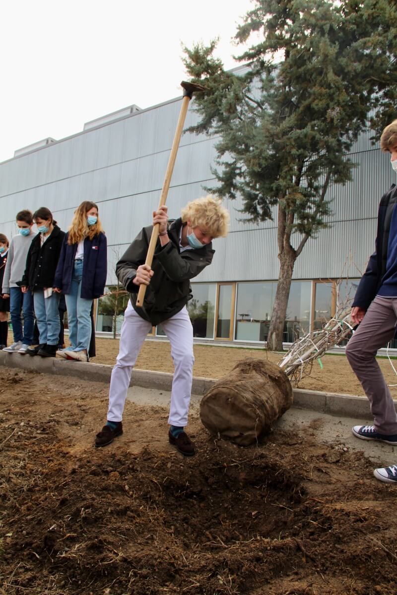 plantatree 0400 - Whole School raises money & awareness for "Growing together campaing"