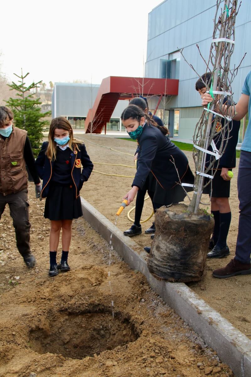 plantatree 0416 - Whole School raises money & awareness for "Growing together campaing"