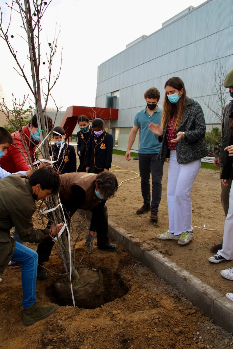 plantatree 0428 - Whole School raises money & awareness for "Growing together campaing"