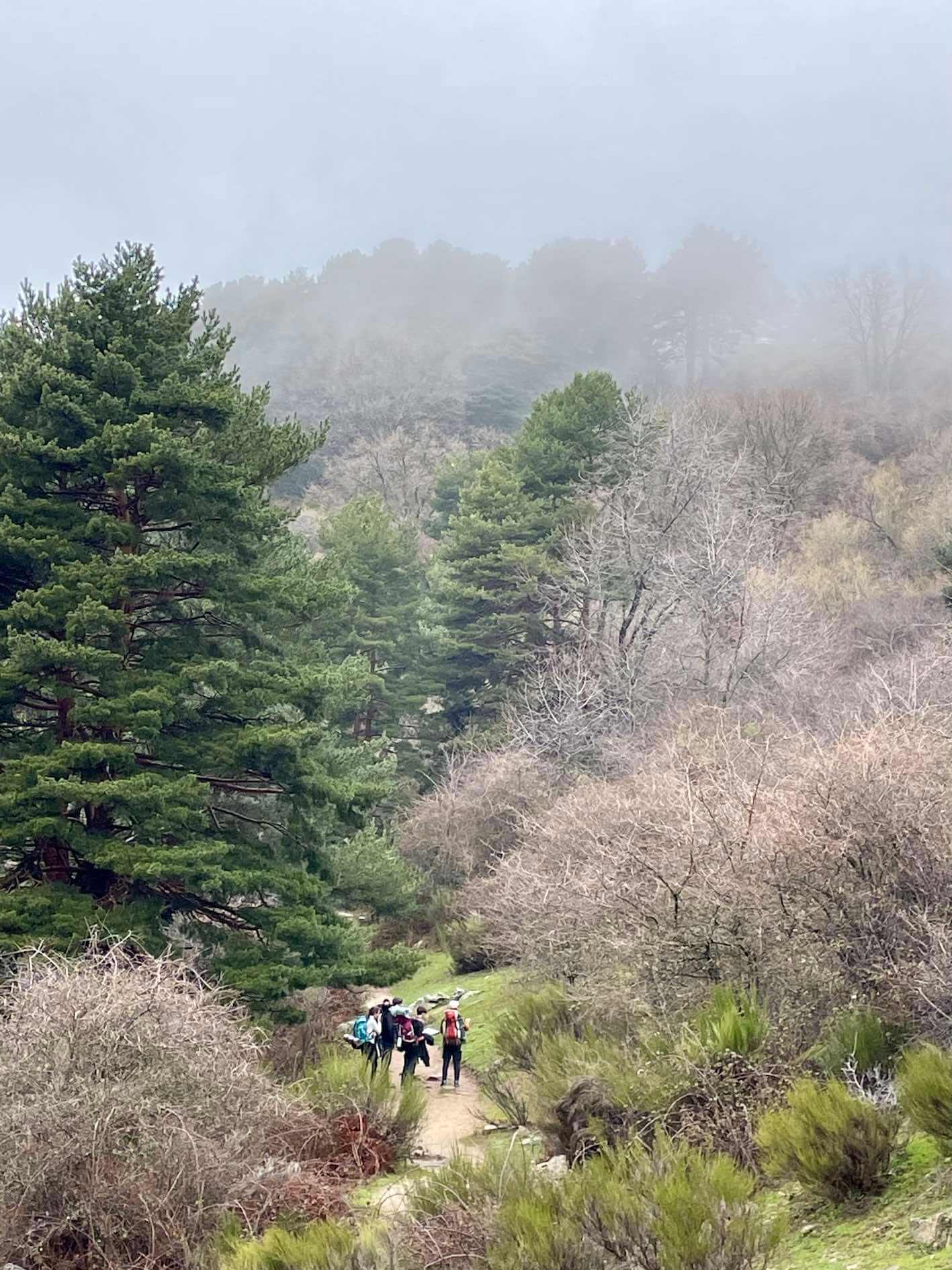 DofE 2022 04 - Busy term comes to a close