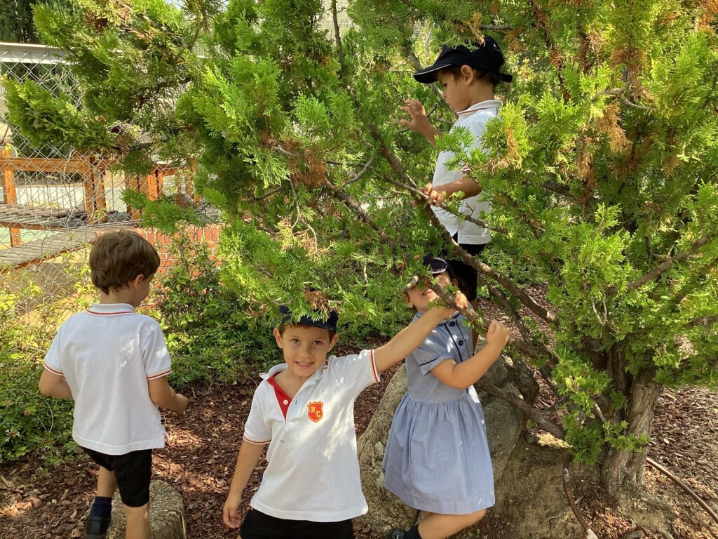 IMG 0693 1024x768 - EYFS discover the Forest School