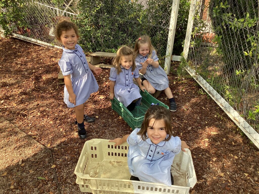 IMG 0698 1024x768 - EYFS discover the Forest School