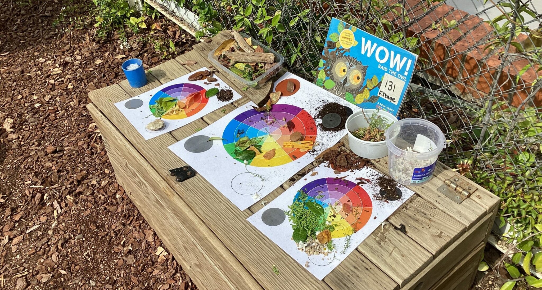 EYFS discover the Forest School