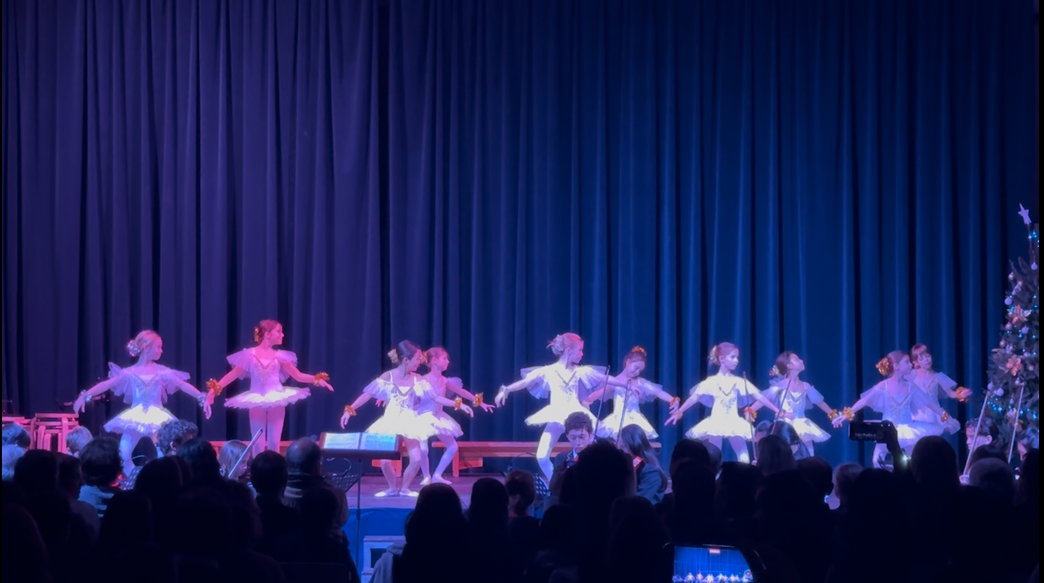 IMG 2079 2 - Christmas Showcase 2025